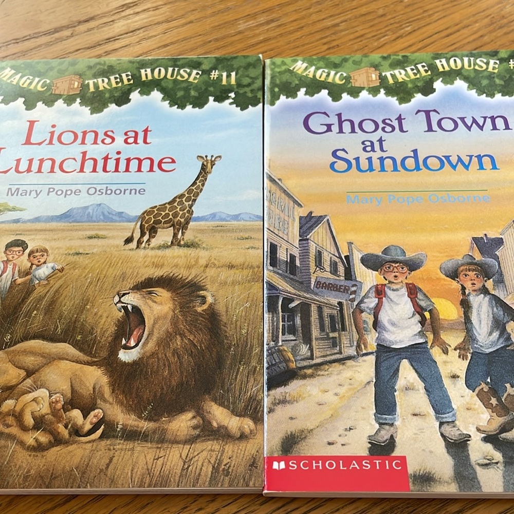 Magic Tree House Softcover Chapter Books #4 to #28 (25 books) NEW Condition - Picture 7 of 15